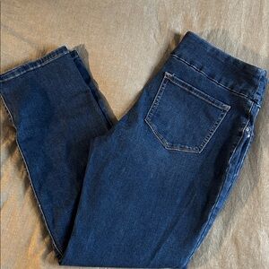 Lee Women's Dark Blue Stretch Jeggings